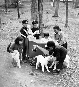 札幌市円山動物園開園（1951年）